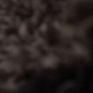 Meet your Posher, Tom